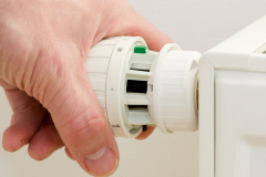 Raw Green central heating repair costs
