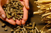 free Raw Green biomass boiler quotes