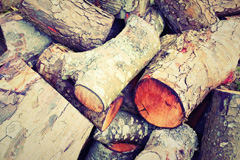 Raw Green wood burning boiler costs